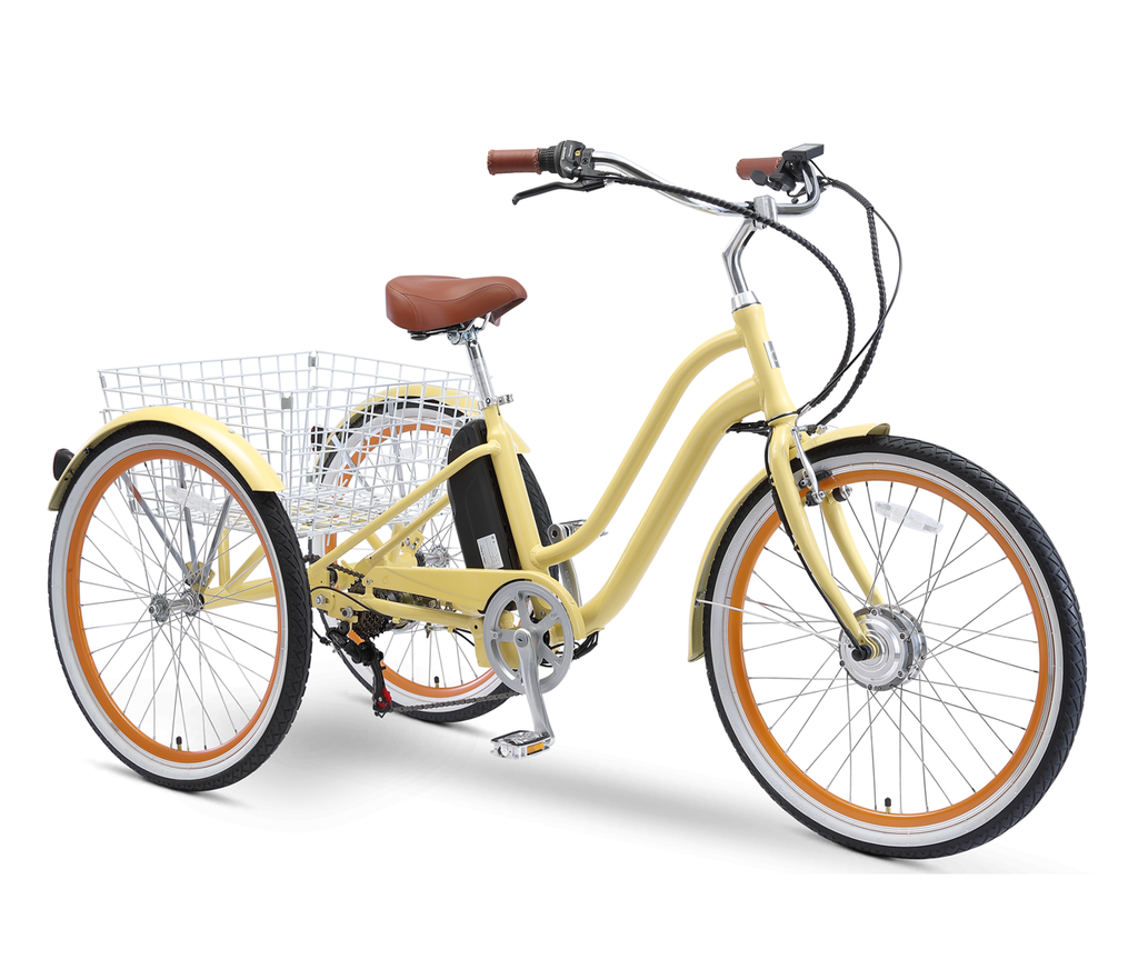 Why Tricycles Are A Healthier & Environment Friendly For Your Delivery